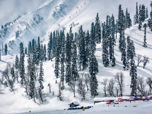 Discover the Magic of Kashmir